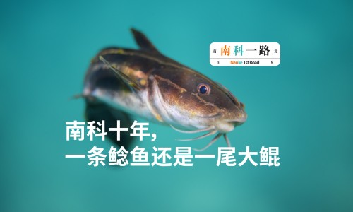 赤霞珠和山葡萄区别在哪-赤霞珠和山葡萄区别-专业赤霞珠葡萄好吃吗平台-赤霞珠与其他葡萄品种的区别